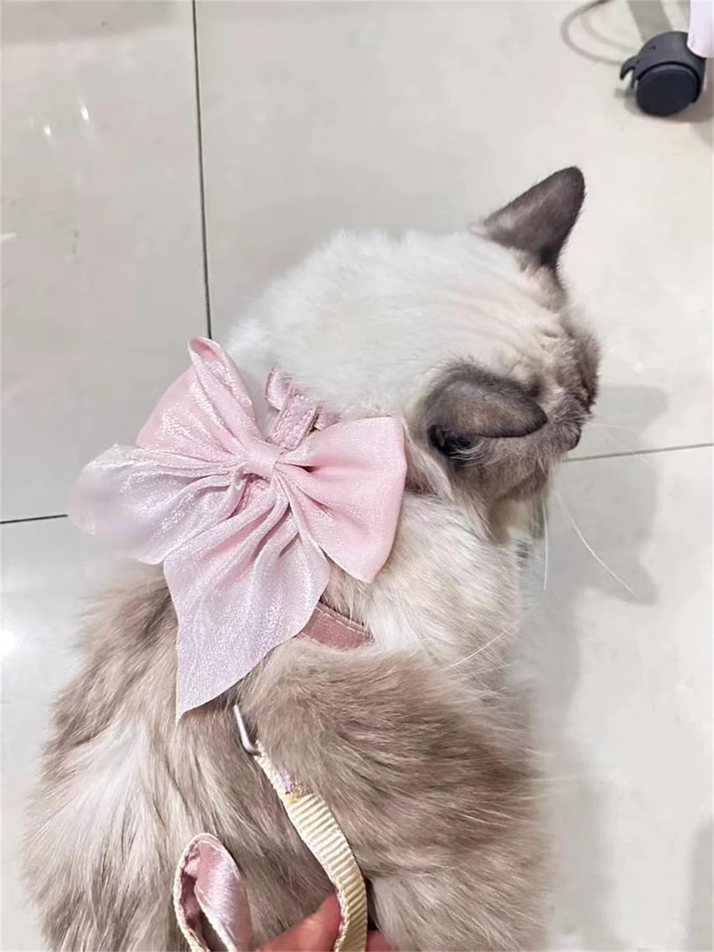 Cute Bowknot Cat Harness Accessories Princess Cat Dress Costumes Kitten Puppy Harness For Cats Leash