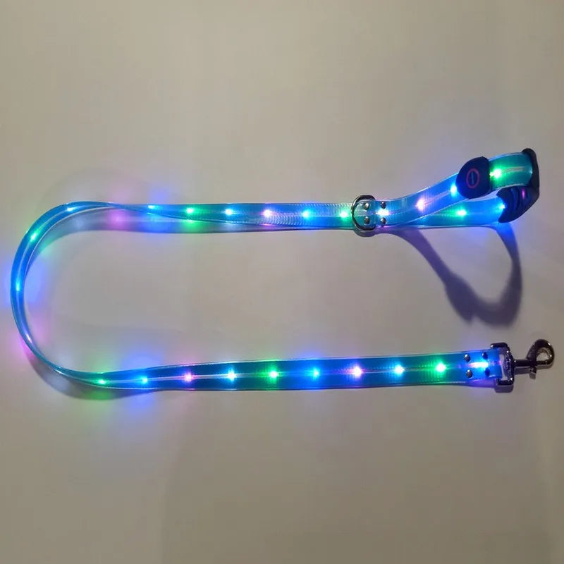 Pet Dog LED Light UP Leash USB Rechargeable PVC With Webbing Glowing Pet Leash Light Up Puppy Dog Night Walking No Collar