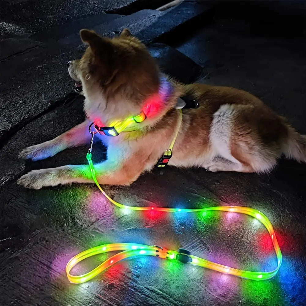 Pet Dog LED Light UP Leash USB Rechargeable PVC With Webbing Glowing Pet Leash Light Up Puppy Dog Night Walking No Collar