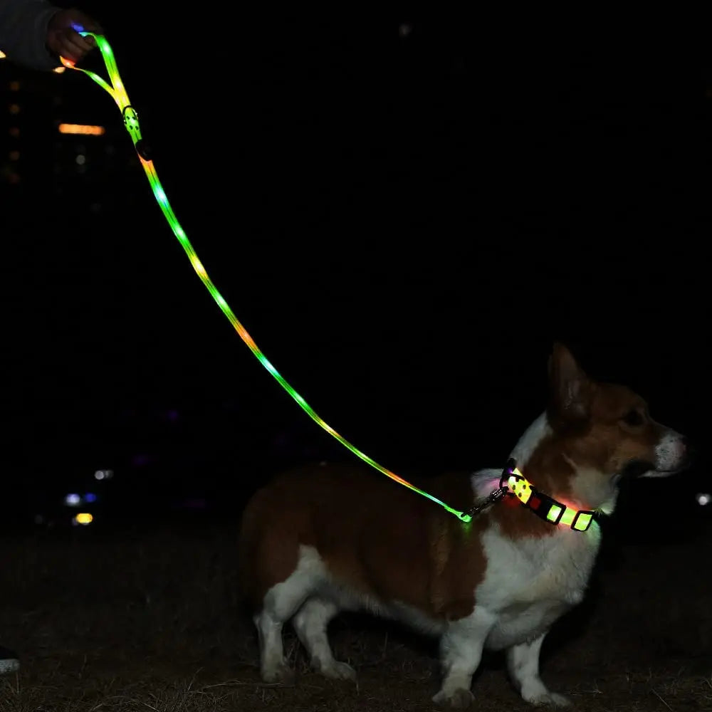 Pet Dog LED Light UP Leash USB Rechargeable PVC With Webbing Glowing Pet Leash Light Up Puppy Dog Night Walking No Collar