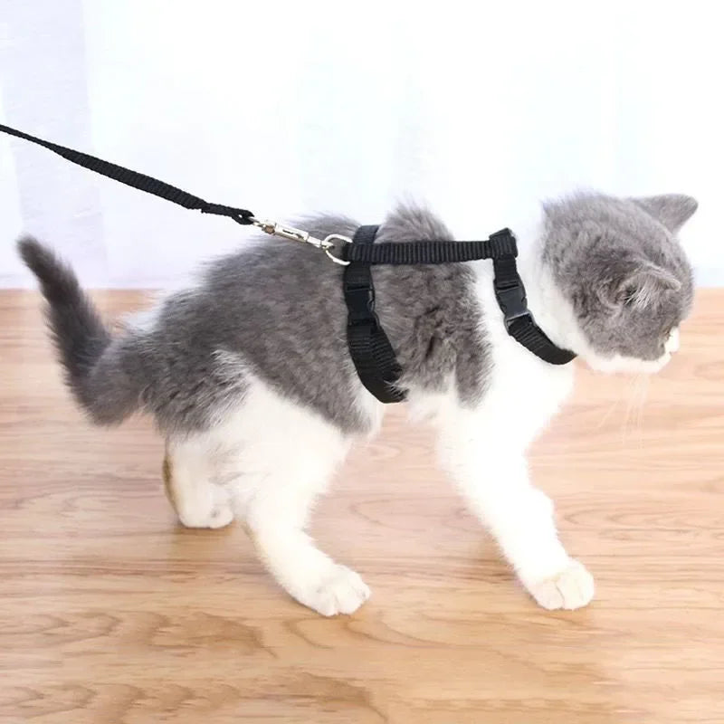 Cat Harness with Leash and Collar Set Escape Proof Adjustable H Shped Cats Harnesses Lightweight for Puppy Kitty Outdoor Walking