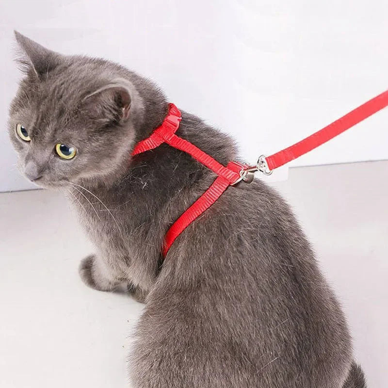 Cat Harness with Leash and Collar Set Escape Proof Adjustable H Shped Cats Harnesses Lightweight for Puppy Kitty Outdoor Walking