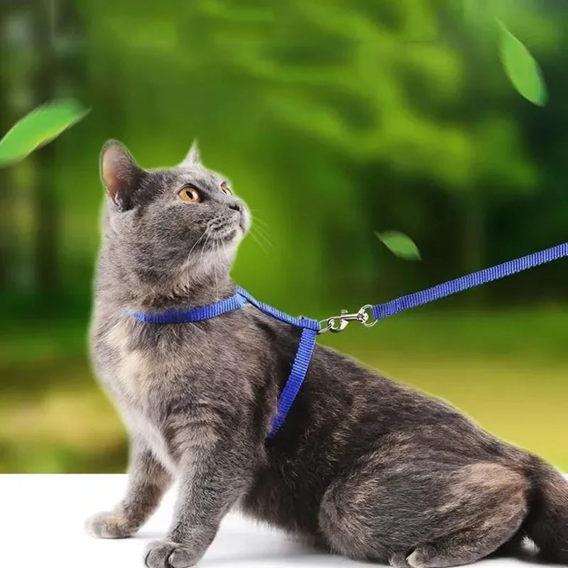 Cat Harness with Leash and Collar Set Escape Proof Adjustable H Shped Cats Harnesses Lightweight for Puppy Kitty Outdoor Walking