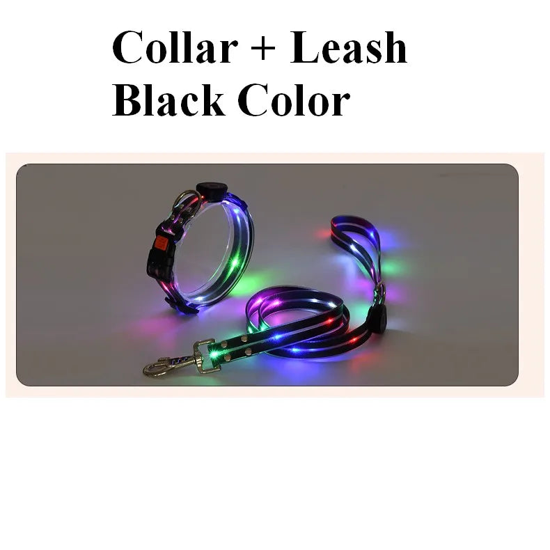 Pet Dog LED Light UP Leash USB Rechargeable PVC With Webbing Glowing Pet Leash Light Up Puppy Dog Night Walking No Collar
