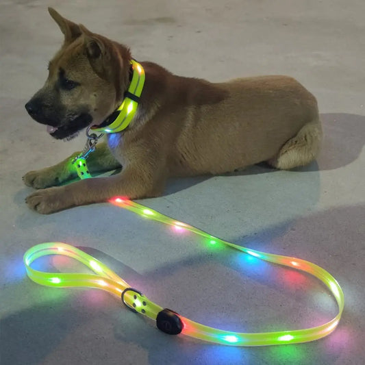 Pet Dog LED Light UP Leash USB Rechargeable PVC With Webbing Glowing Pet Leash Light Up Puppy Dog Night Walking No Collar
