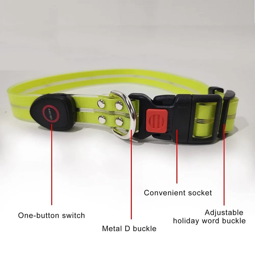 Pet Dog LED Light UP Leash USB Rechargeable PVC With Webbing Glowing Pet Leash Light Up Puppy Dog Night Walking No Collar