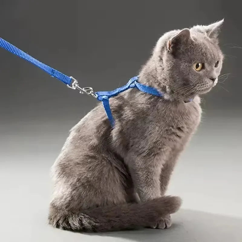 Cat Harness with Leash and Collar Set Escape Proof Adjustable H Shped Cats Harnesses Lightweight for Puppy Kitty Outdoor Walking