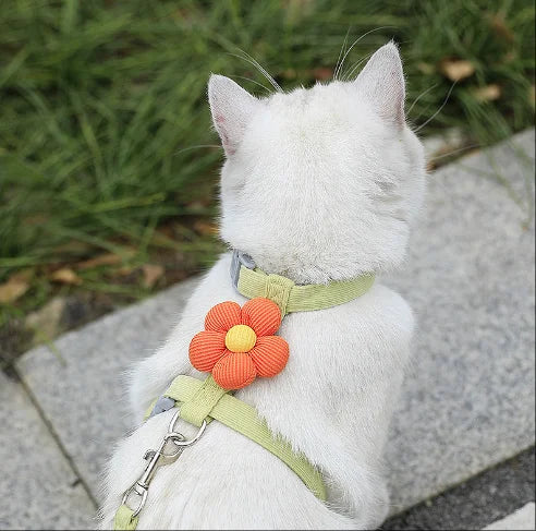 Cat Harness and Leash Sets Adjustable Dog Harness for Small Dog Leash Breashable Pet Harness Out Walking Dog Strap