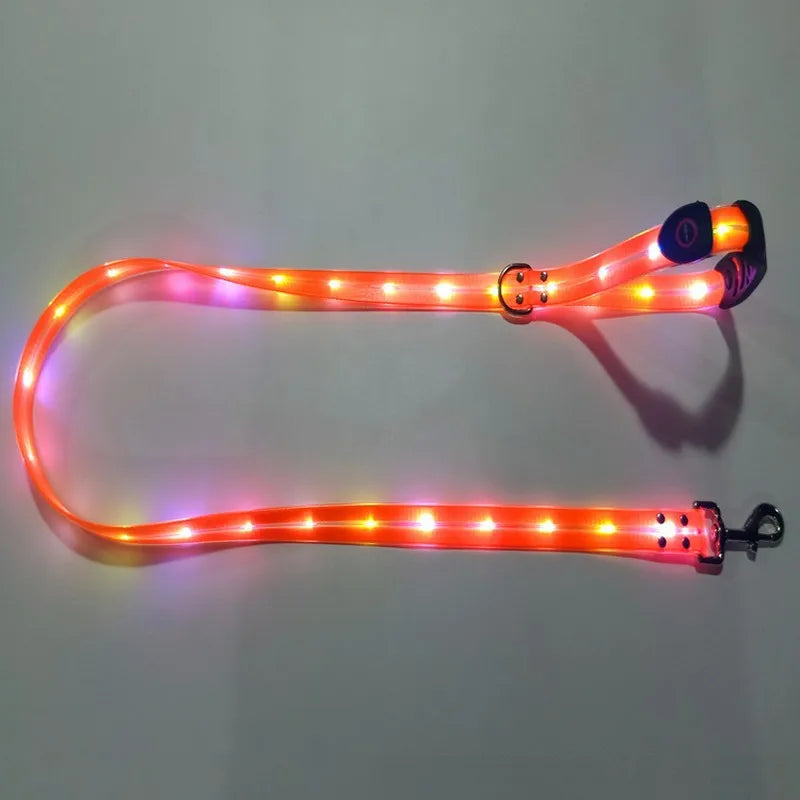 Pet Dog LED Light UP Leash USB Rechargeable PVC With Webbing Glowing Pet Leash Light Up Puppy Dog Night Walking No Collar
